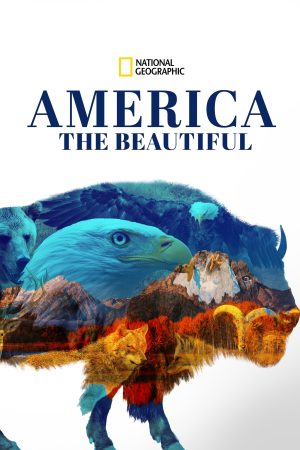 Xem Phim America the Beautiful Vietsub: Thiên Nhiên Hoang Sơ và Cuộc Sống Đẹp