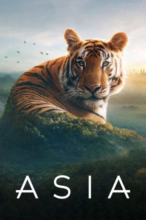 Xem Phim Asia Full HD Phong Cảm Hứng Tình Yêu"