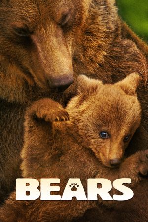 Xem Phim Bears HD Chọn Lọc Tuyệt vời"