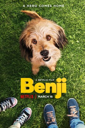 Xem Phim Benji Full HD, Hạnh Phúc Non Song Của Chú Mèo Độc Đáo