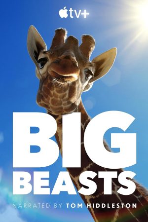 Xem Phim Big Beasts Full HD - Động Vật Hoang Dã Xuất Sắc