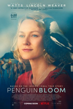 Xem Phim Cánh Cụt Nhà Bloom Vietsub Full
