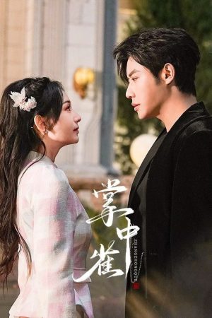 Xem Phim Chim Sẻ Trong Lòng Bàn Tay Full HD Vietsub