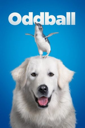 Xem Phim Chú Chó OddBall Full HD - Hành Trình Tình Bạn Độc Đáo"