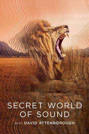 Xem Phim David Attenborough: Giải Mã Thế Giới Bí Ẩn Của âm Thanh Full HD