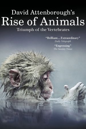 Xem Phim: David Attenborough's Rise of Animals - Vertebrate's Triumph HD"