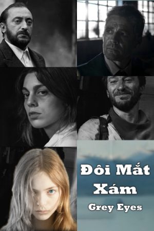 Xem Phim Đôi Mắt Xám Full HD Vietsub