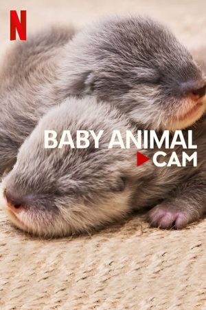 Xem Phim Động Vật Bé Cưng Trên Camera Full HD"
