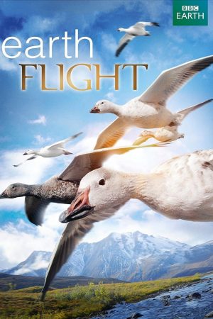 Xem Phim Earthflight Full HD - Chuyến Đi Trọn Vẹn Qua Trái Đất