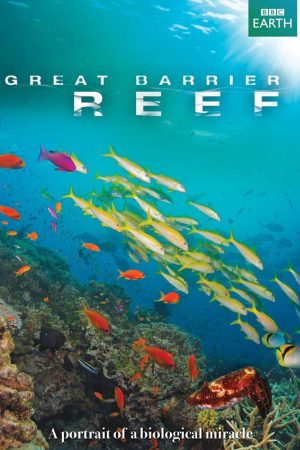Xem Phim Great Barrier Reef HD - Thần Thoại Biển Đẹp Nhất"
