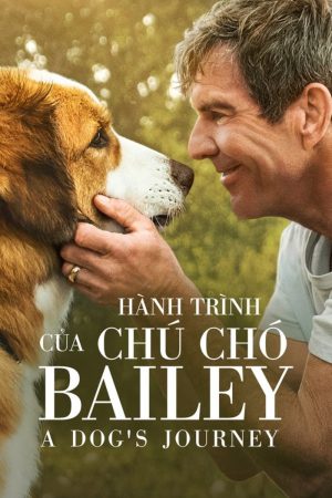 Xem Phim Hành Trình Của Chú Chó Bailey Full HD - Trải Nghiệm Tình Bạn Đáng Nhớ