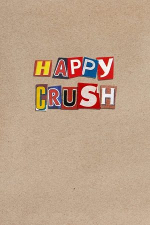 Xem Phim Happy Crush Full HD – Tình Yêu Vui Vẻ, Hạnh Phúc