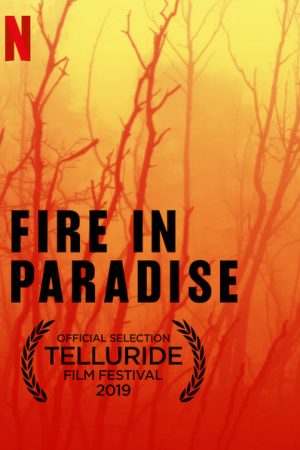 Xem Phim Hỏa Hoạn Tại Paradise Full HD Thuyết Minh