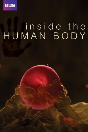 Xem Phim Inside the Human Body: Full HD Vietsub Thăm Nội Tinh