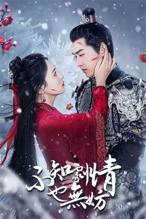 Xem Phim Không Biết Cốt Truyện Cũng Không Sao Full HD, Vietsub Thú Vị