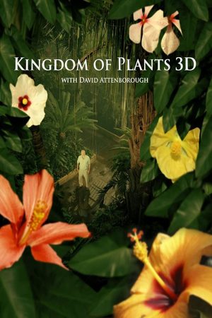 Xem Phim Kingdom of Plants Full HD Vietsub Mới Nhất