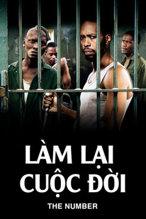 Xem Phim Làm Lại Cuộc Đời Full HD, Tủy Tiện Cảm Xúc