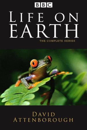 Xem Phim Life on Earth Full HD - Cuộc Sống Chân Thực Tuyệt Đẹp