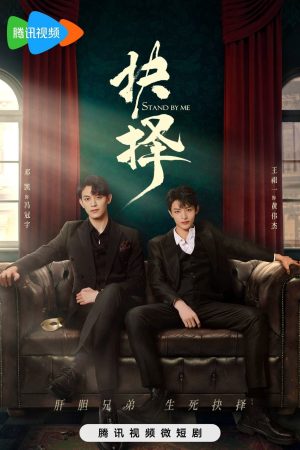 Xem Phim Lựa Chọn Full HD Vietsub Mới Nhất