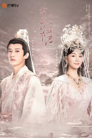 Xem Phim Mùa Hoa Rơi - Gặp Lại Chàng Lạc Trôi & Tìm Lại Nhau Full HD
