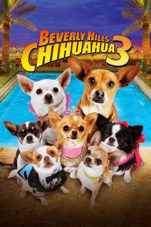 Xem Phim Những Chú Chó Chihuahua 3 Full HD - Hành Trình Đầy Tiếng Cười
