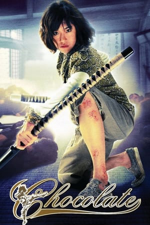 Xem Phim Quyền Cước Thượng Đẳng Full HD Vietsub