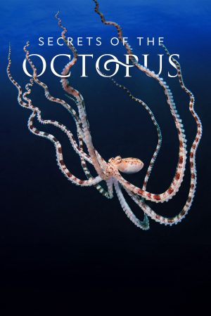 Xem Phim Secrets of the Octopus HD: Cảm Giác Đặc Biệt Với Poseidon