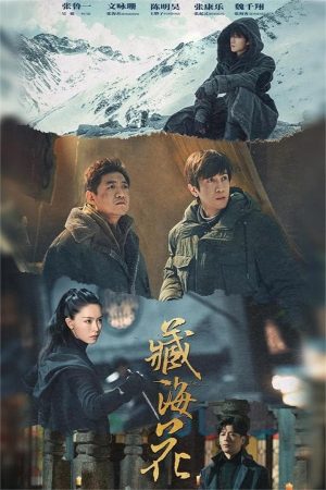 Xem Phim Tạng Hải Hoa Full HD Vietsub Mới Nhất