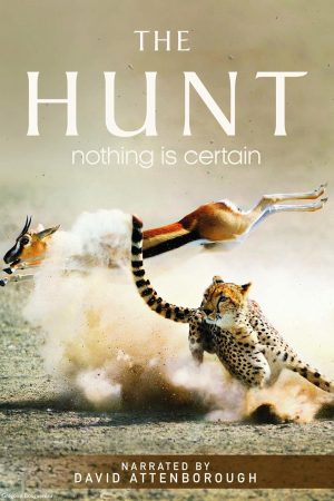 Xem Phim The Hunt HD Thế Giới Ẩn Sau