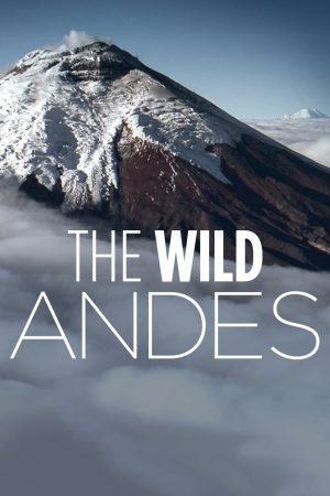 Xem Phim The Wild Andes Full HD: Thám Tử Điểm Ẩn Tự Nhiên Độc Đáo