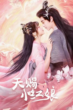 Xem Phim Thiên Tứ Tiểu Hồng Nương Full HD Vietsub