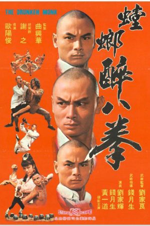 Xem Phim Thiếu Lâm Tam Thập Lục Phòng Full HD Vietsub"