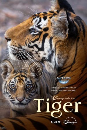 Xem Phim Tiger Full HD Thú Ăn Thị Phiêu Liệt Đỉnh Cao