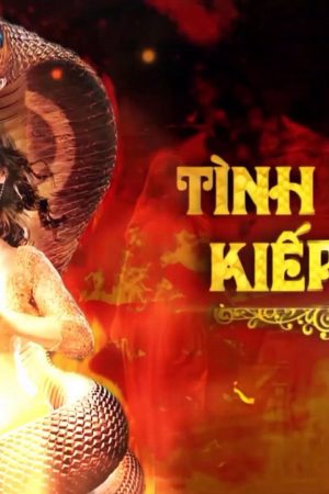 Xem Phim Tình Người Kiếp Rắn (Phần 1) Full HD Vietsub