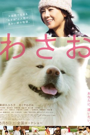Xem Phim Wasao Vietsub - Chien Luoc Trai Tim Vo Hinh"